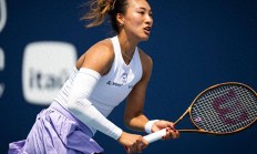 开云体育-瓦朗谢纳交锋戛纳，争夺三分激烈进行的简单介绍