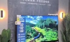 开云体育app-包含苏宁保持稳健状态，豪取三分扩大领先优势的词条