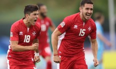 开云体育app-芬兰主场胜摩尔多瓦，欧洲杯资格前景大好