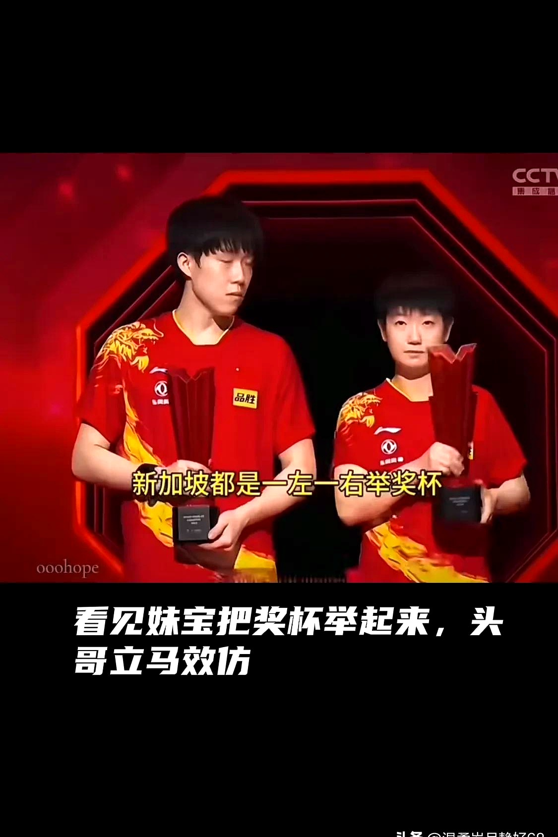 选手们为荣誉搏命，赛场波澜不惊争夺金牌的简单介绍