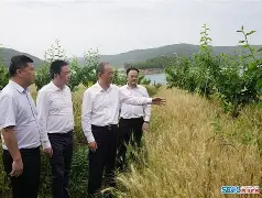 沙托鲁再次失利，需尽快扭转颓势