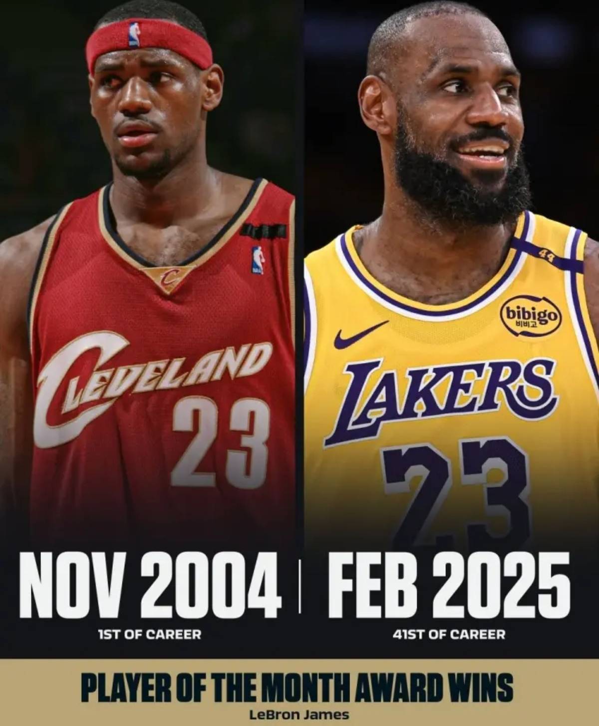 火箭不敌骑士，詹姆斯硬造41分的简单介绍