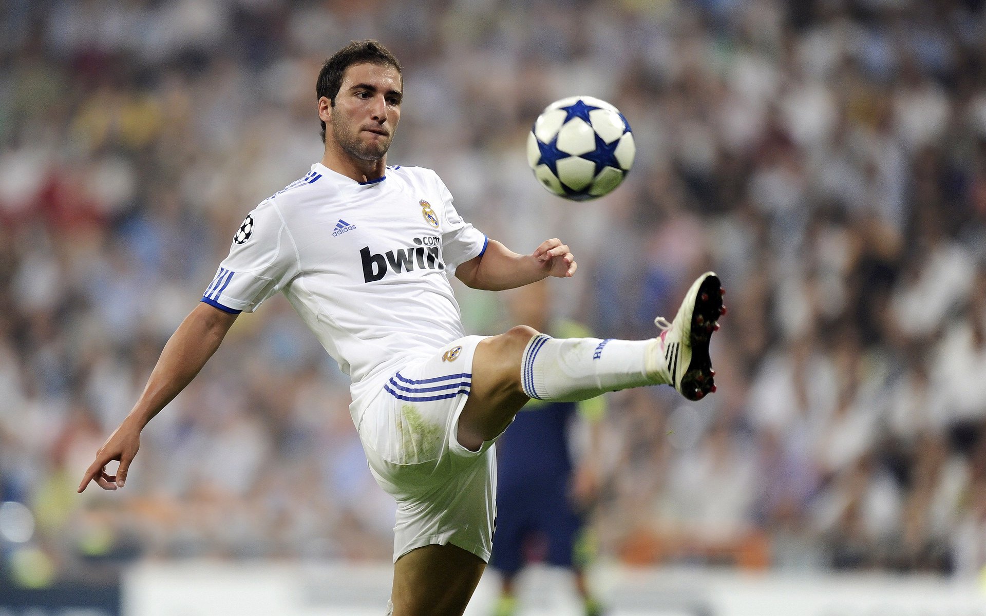 东方星辰照亮丹佛高原，张镇麟的逆袭击碎了所有傲慢的剧本